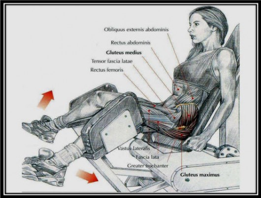 http://www.top.me/wp-content/uploads/2013/06/Seated-Machine-Hip-Abduction.jpg