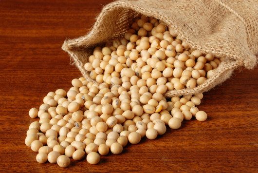 Soy beans