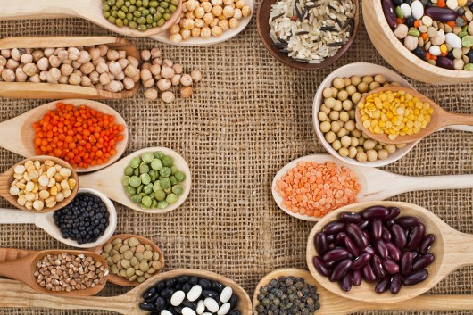 The Best Vegetarian Protein Sources