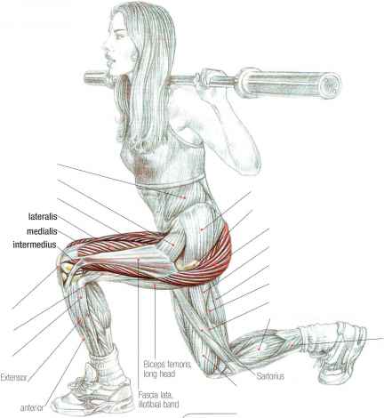 Lunges picture