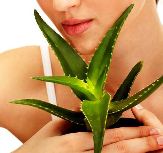 Aloe Vera against wrinkles