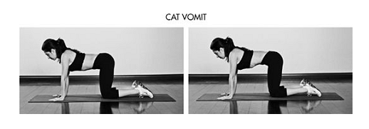 #5 Waist Slimming Exercise: Cat Vomits
