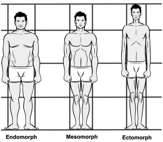Body types