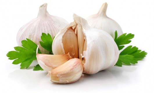 garlic