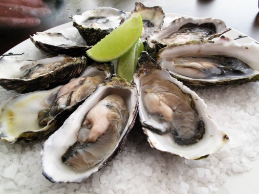 oysters