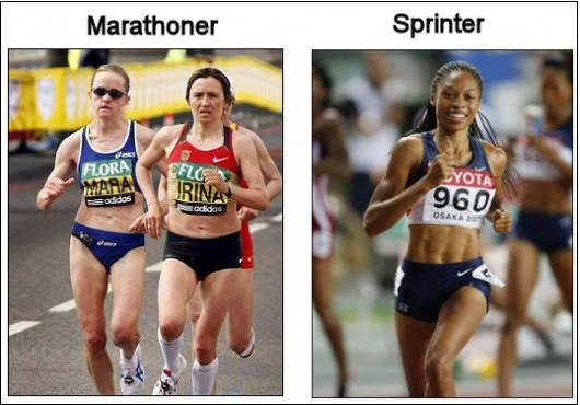 Marathoner vs Sprinter