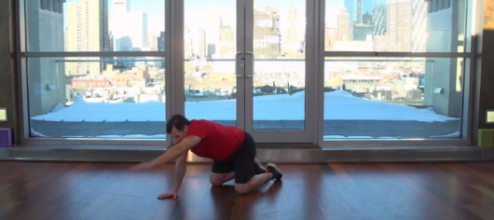 Left Arm Strokes in Modified Plank