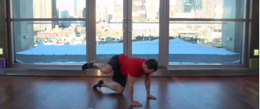 Modified Plank with Leg Raised to the Side