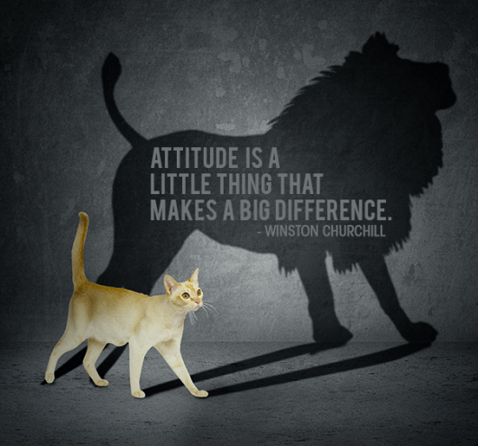 Attitude Makes a Big Difference