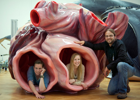 Blue Whale Heart