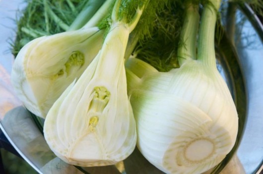 Fennel