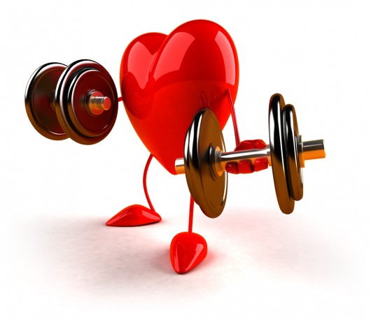 Heart is Super Muscle