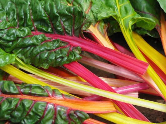 Swiss Chard