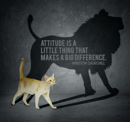 Attitude-Makes-a-Big-Difference