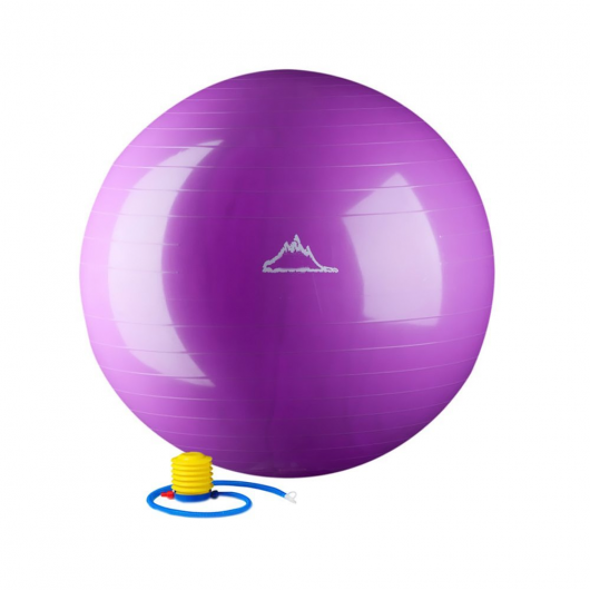 Black Mountain Exercise Ball