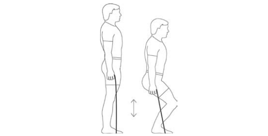 Resistance Bands Squats