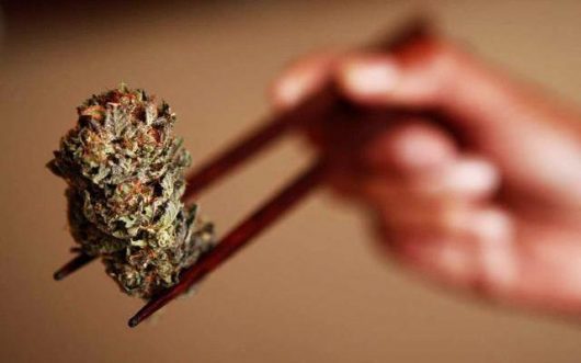 A close up picture of the dry weed in the Chinese sticks that the man is holding at the background