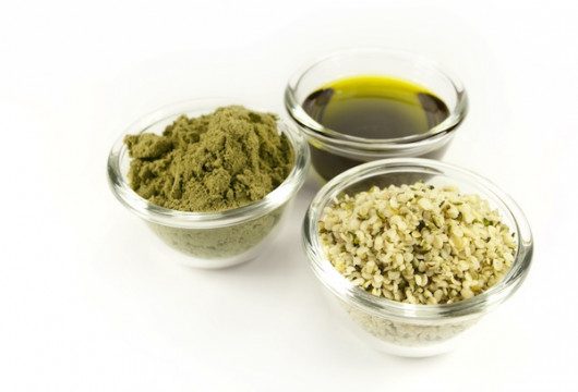 Cannabis powder, cannabidiol, cannabis hemps in transparent small bowls on white background