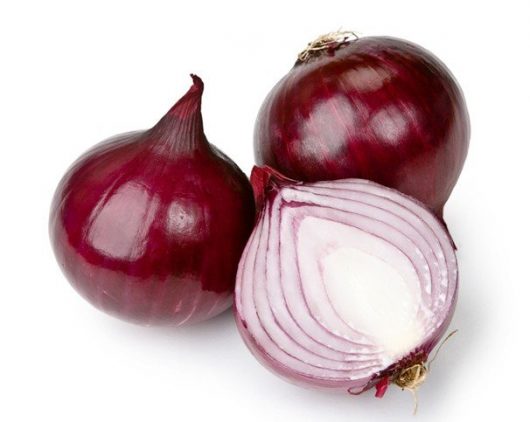 Onion