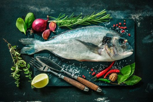 The Four Best Types of Fish for Fitness Enthusiasts