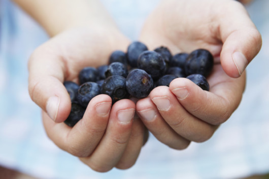 a kid with a handful of blueberries 