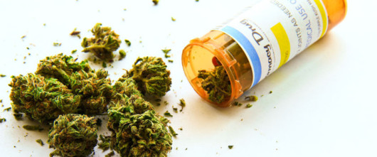 Medical marijuana leaves on the white table