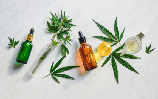 Cbd oil in bottles and cannabis plants on white background