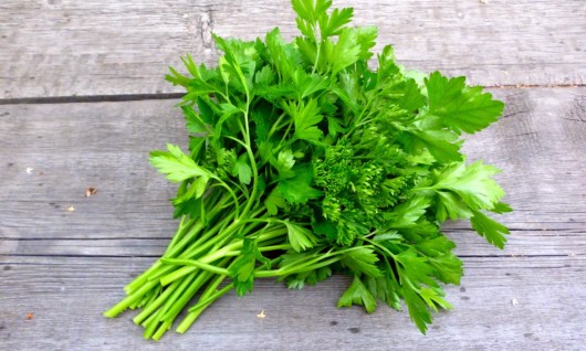 Green parsley on the wooden background