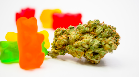 Edible cbd bear gummies on white background