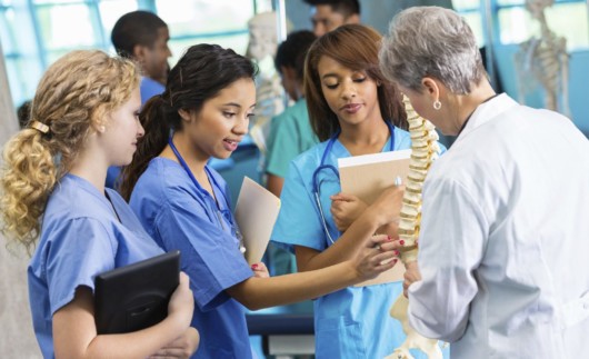 The teacher is showing the human spine to the medical students at the medical university