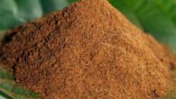 The Kratom red dragon powder on the leaf