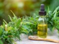 Cannabis and cbd oil in a bottle on the wooden background