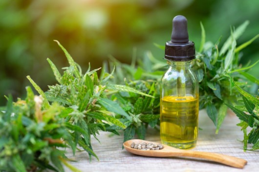 Cannabis and cbd oil in a bottle on the wooden background