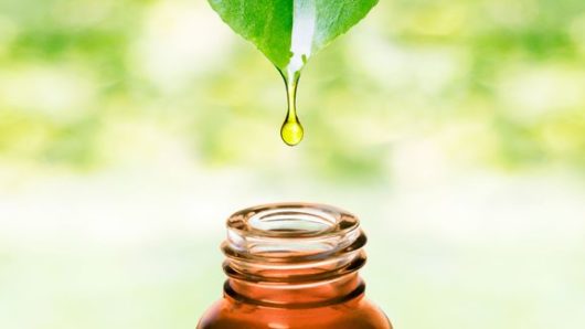 Drop of cbd oil on the leaf over the bottle neck