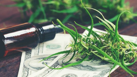 Cbd oil, money banknotes and cannabis are lying on the wooden table