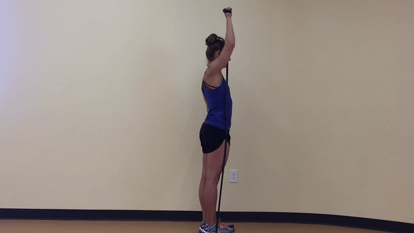 A beautiful and fit girl in blue top and black shorts is doing Isolated Overhead Press with resistance band in the room.