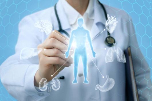 A doctor is pointing at the hologram of the man and the detoxification organs