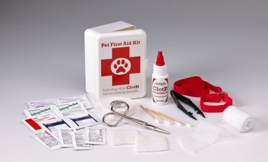 First aid kit with different supplies on white background