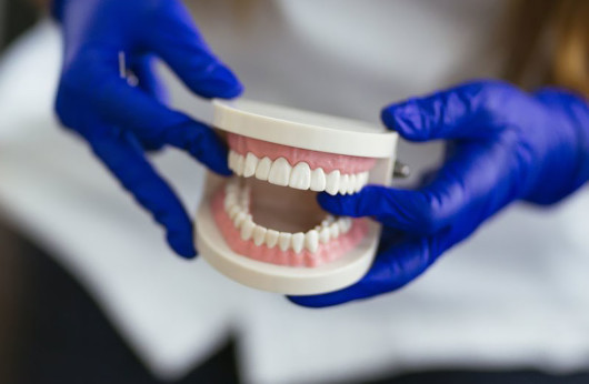 A doctor in blue gloves with a denture in the hands