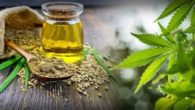 CBD oil, hemp seeds and hemp leaves on the wooden background