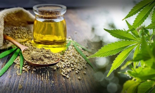 CBD oil, hemp seeds and hemp leaves on the wooden background