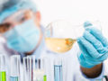 laboratory assistant is holding test tube with a liquid and checking it