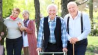 Old people are walking in the park and look happy.