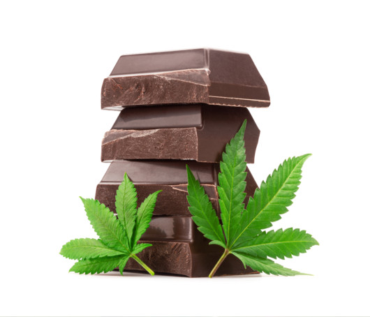Bars of chocolate on the white background with hemp lives
