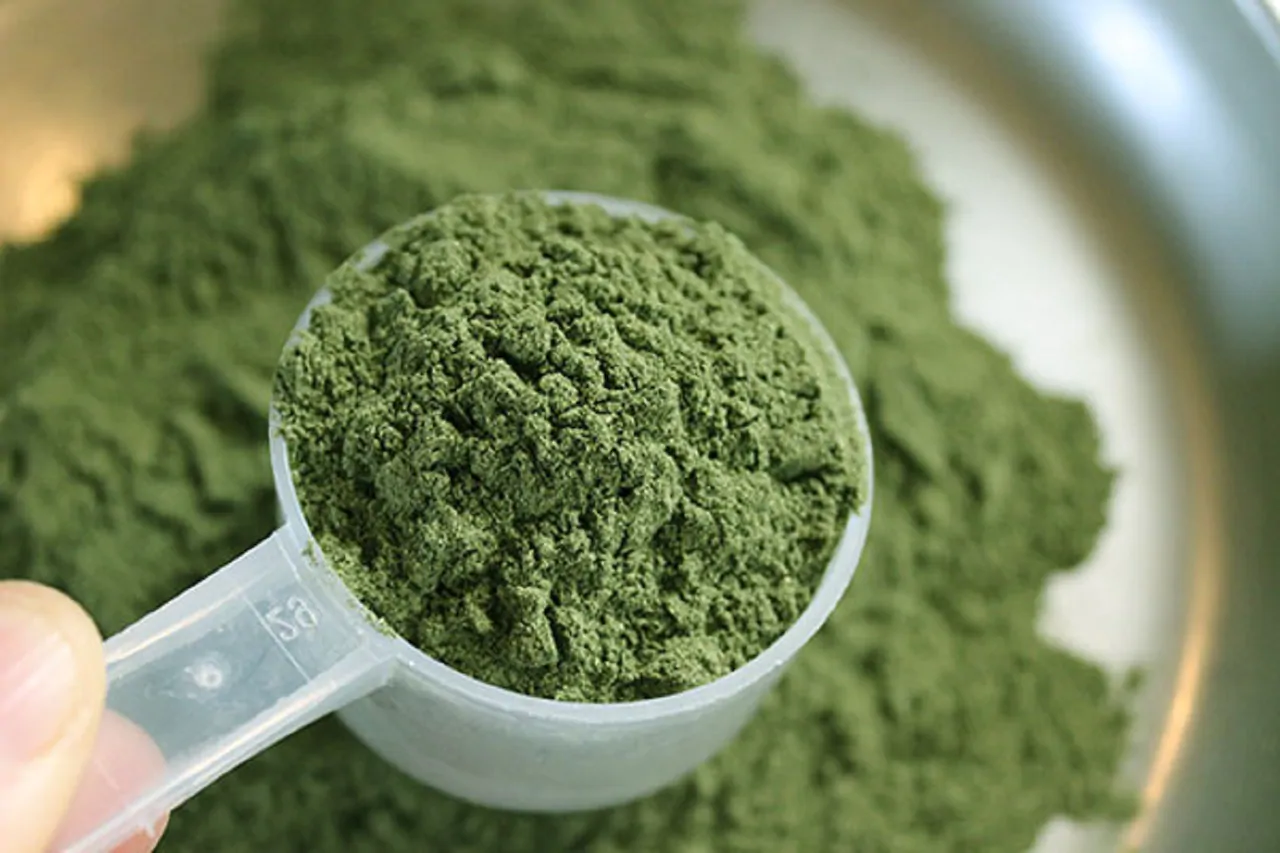 A close up green kratom powder
