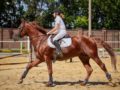 A girl is riding a horse professionally