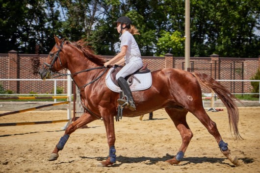 A girl is riding a horse professionally